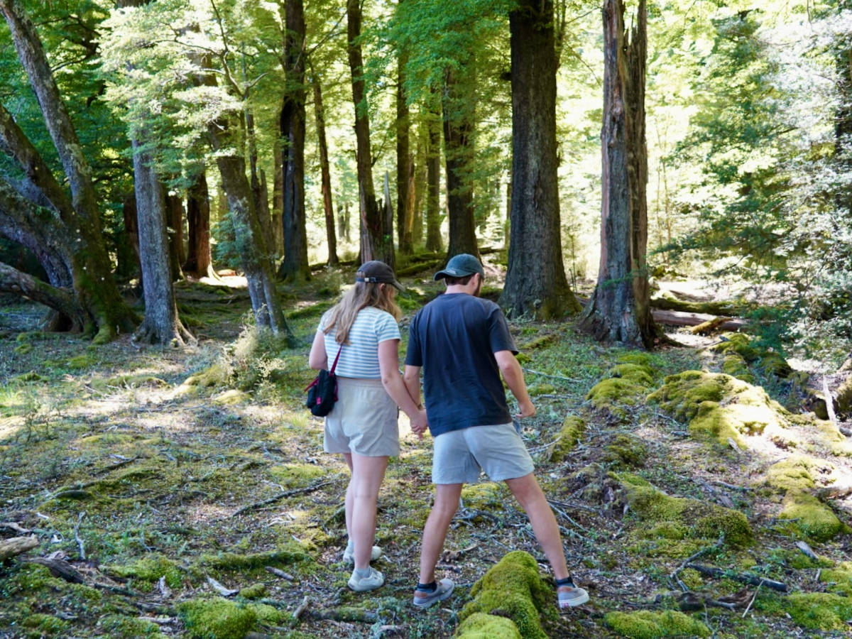 A couple walking in the woods at Lothlórien in Glenorchy