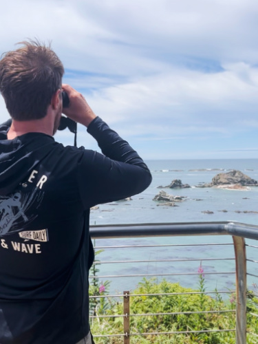 The author's husband bird watching