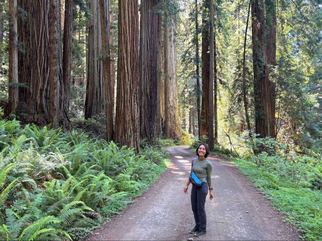 The author, Abigail Bliss walking at the Red Woods National Park