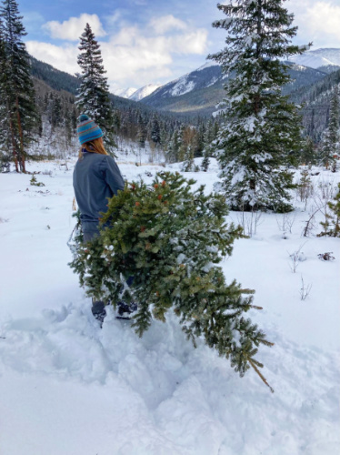 Abigail's husband carrying their Christmas tree