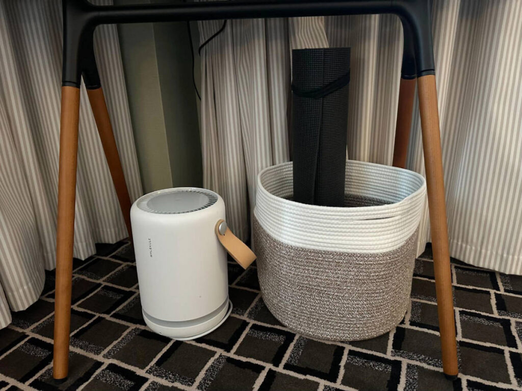 An air purifier and some basic exercise equipment