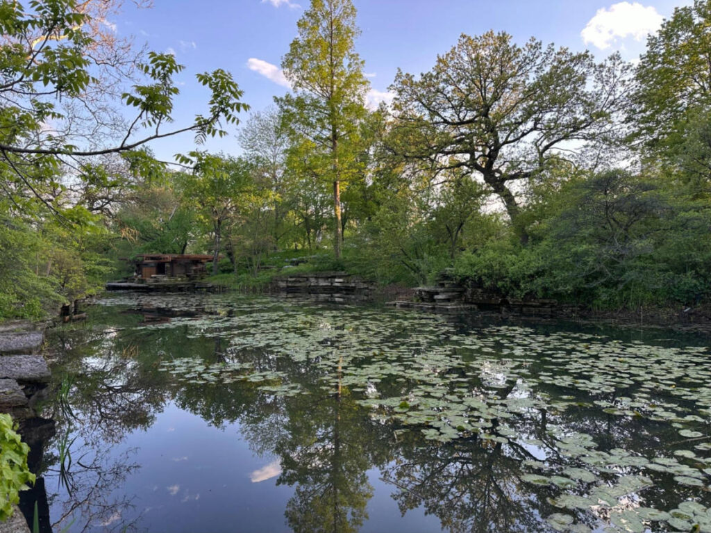 The Alfred Caldwell Lily Pool surrounded by greenery