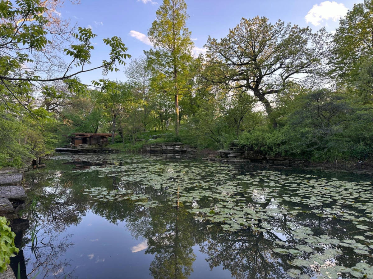 The Alfred Caldwell Lily Pool surrounded by greenery