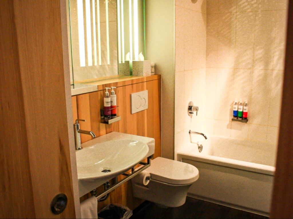 View inside the bathroom of Alt Hotel