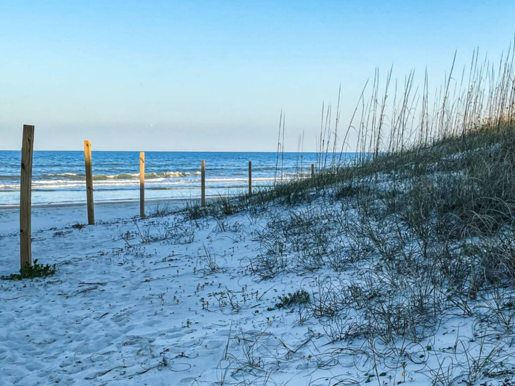 View of the white sand of American Beach
