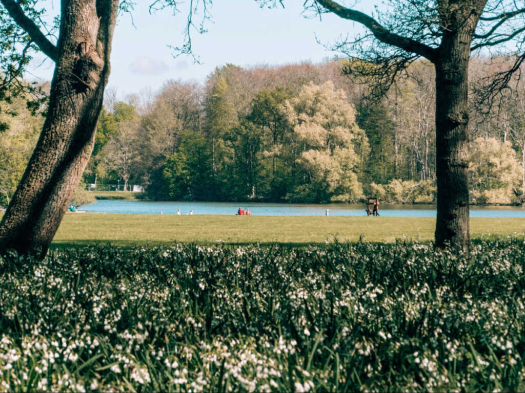 View of the lush greenery around The Amsterdamse Bos