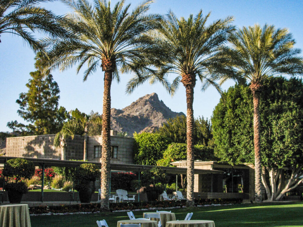 View of the palm trees and the mountain views from the grounds of Arizona Biltmore