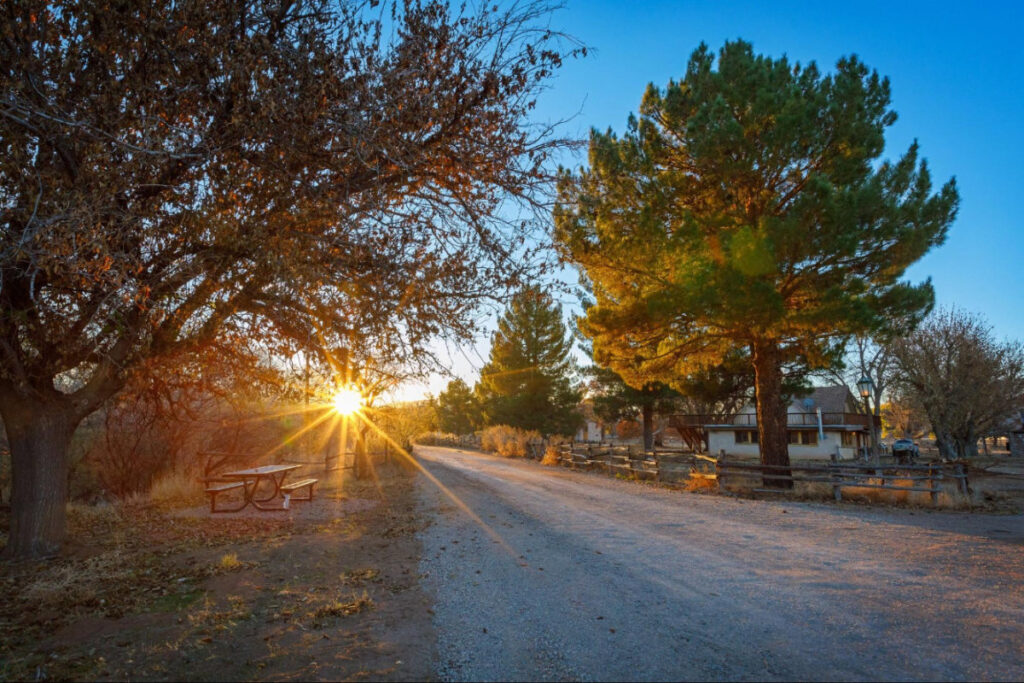 View of trees and a road at sunset at Rockin River Ranch, Arizona's newest state park