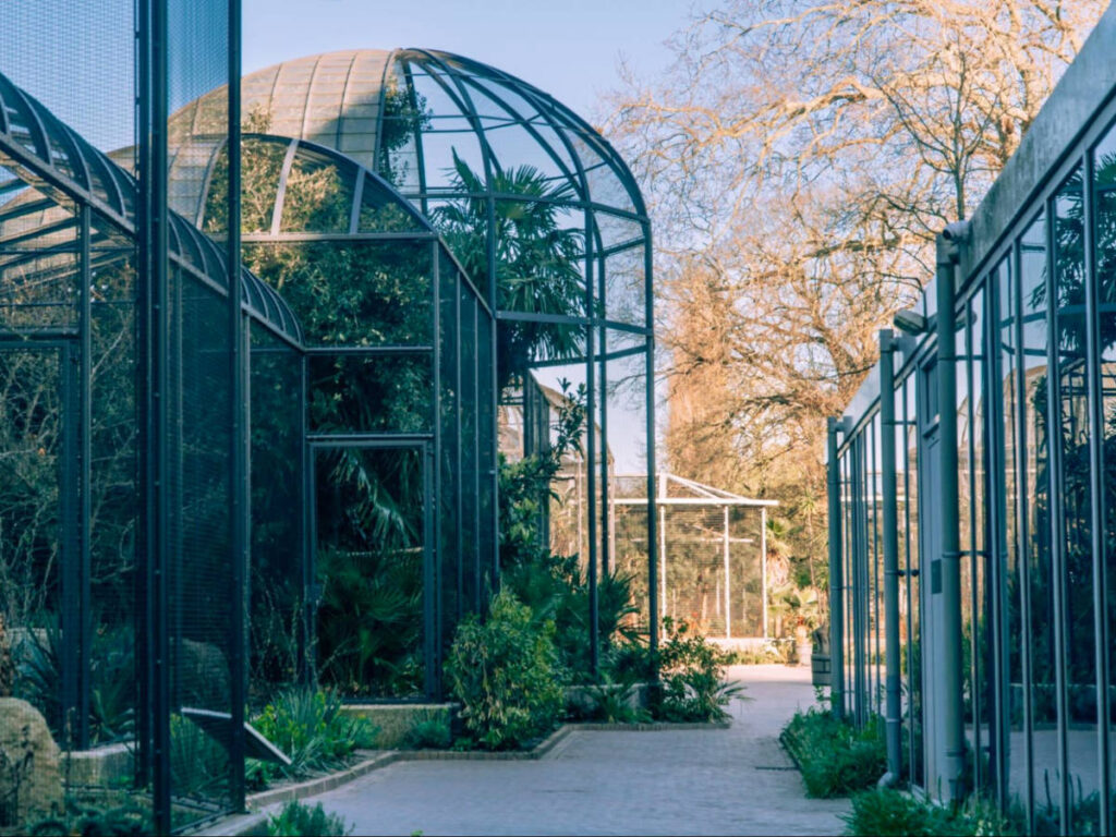 View of the cages at Artis