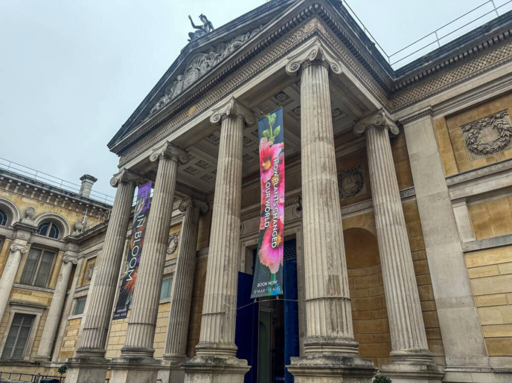 Closeup look of the architecture of Ashmolean from the outside