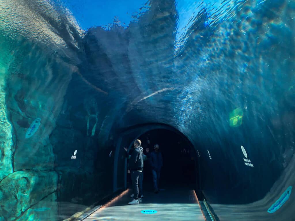 People on a water tunnel in Assiniboine Park Zoo