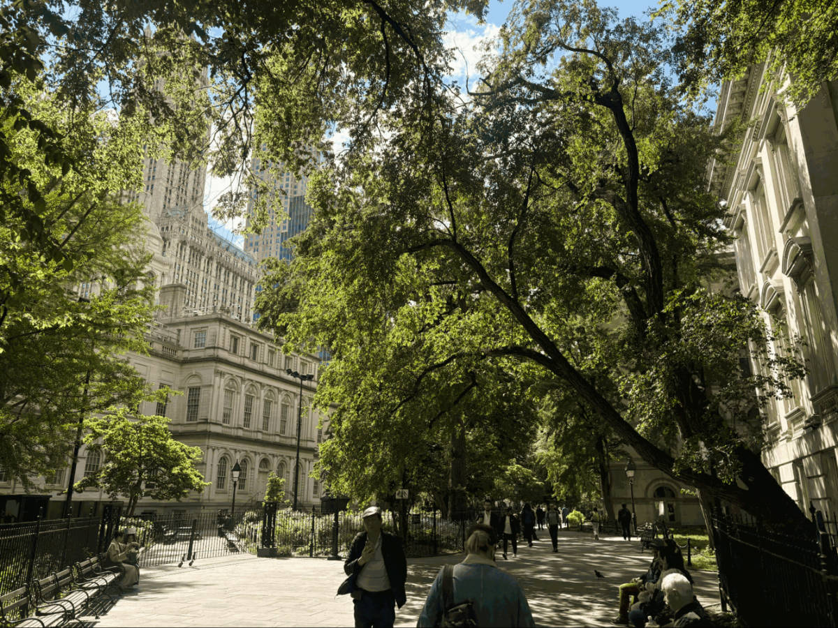 People resting at City Hall Park