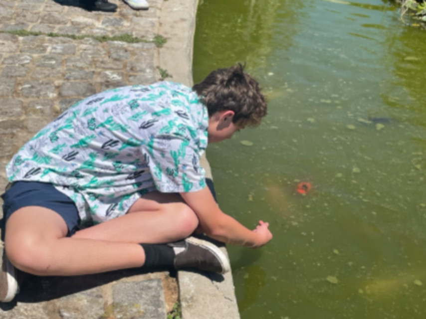 A boy feeding the koi at the Japanese Friendship Garden
