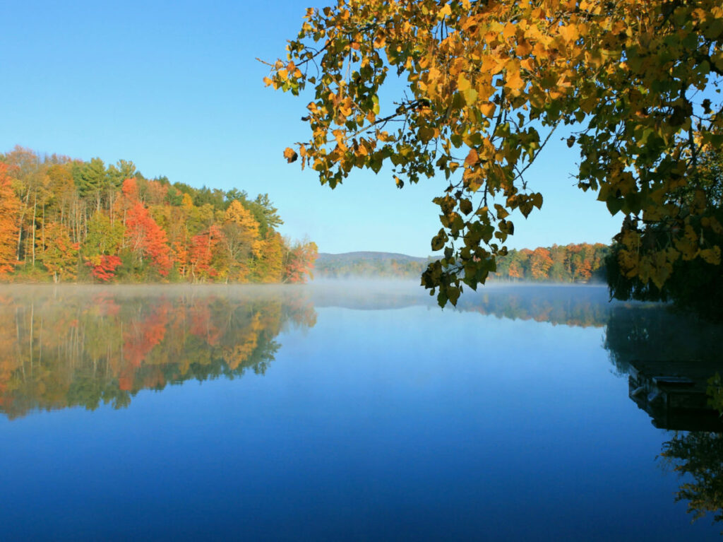A serene view of Lake Laurel, framed by fall foliage and trees