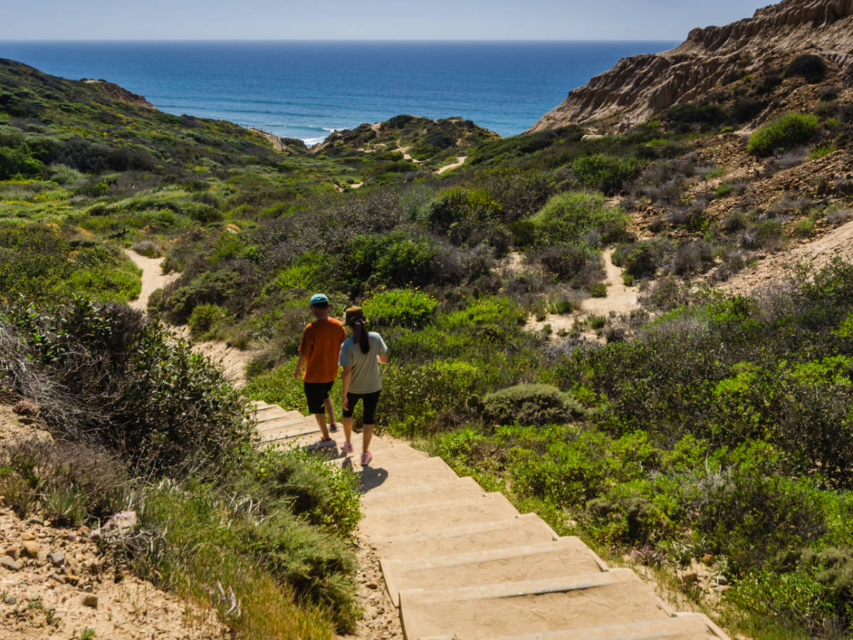 Two people going down a stairs at Torrey Pines State Natural Reserve