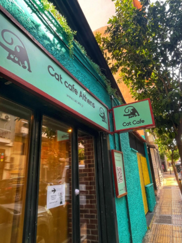 The Athens Cat Cafe from the outside