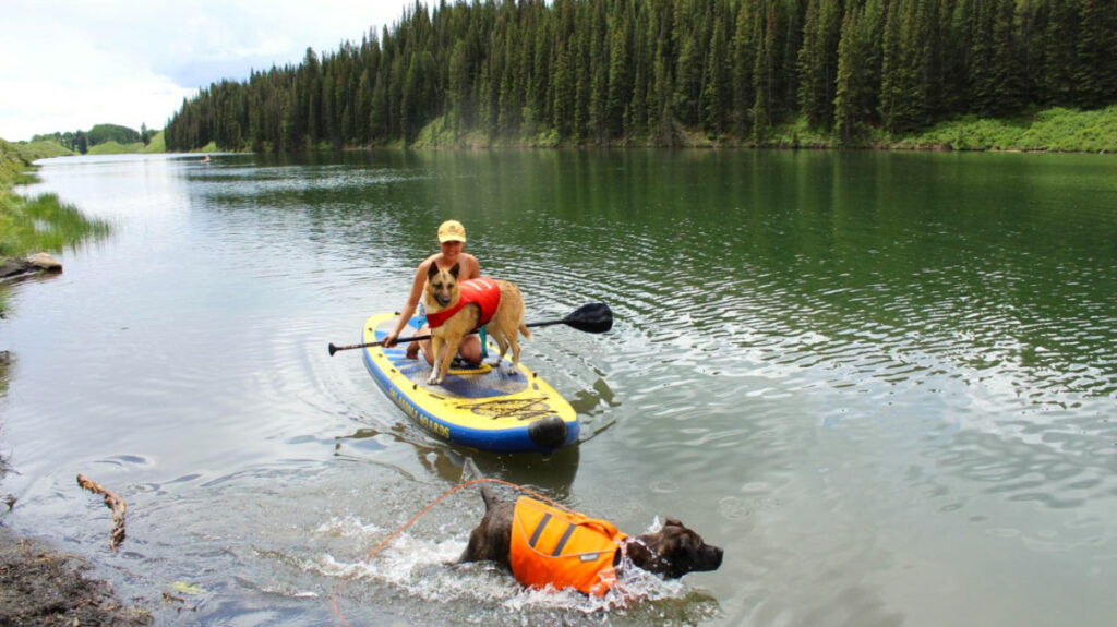 Author Abigail paddle boarding with her two dogs in Crested Butte