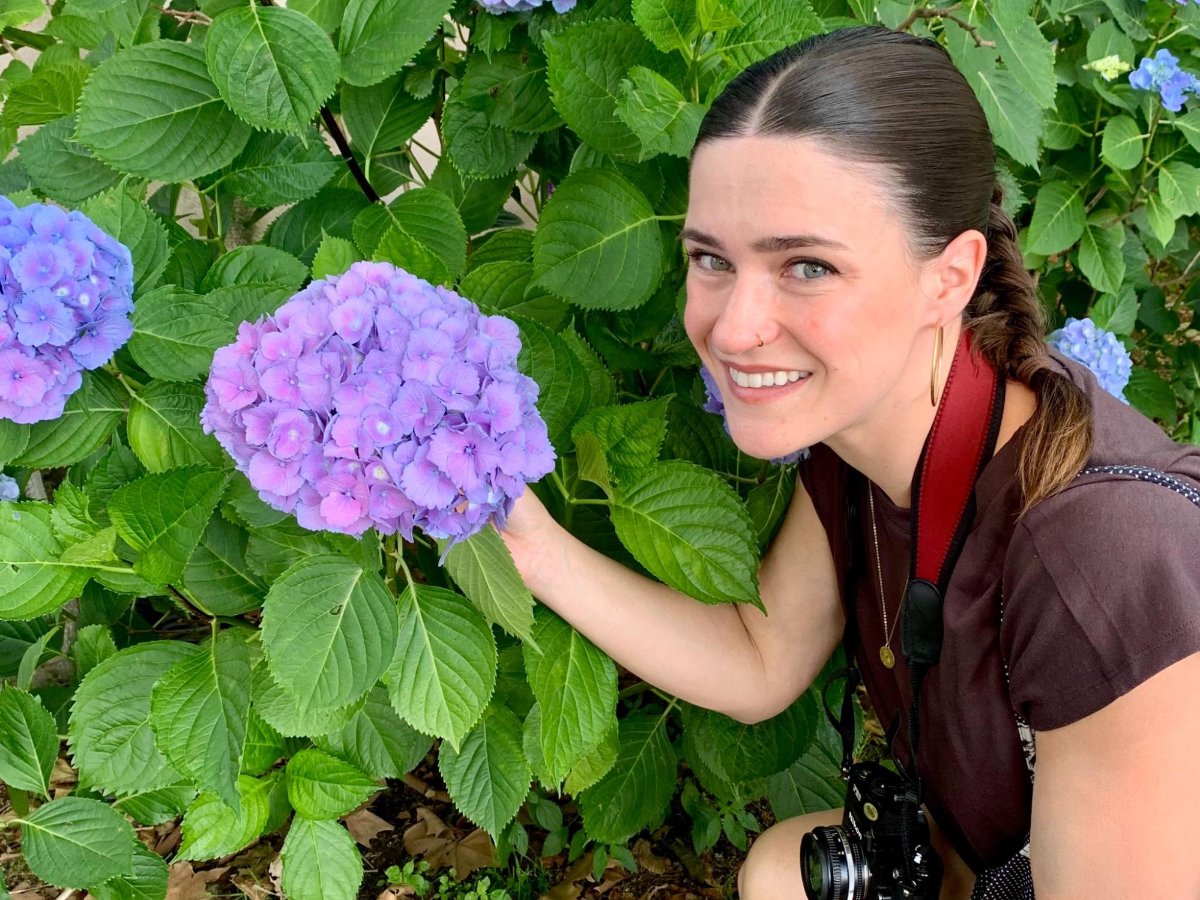Author Betty taking a picture with the Hydrangeas