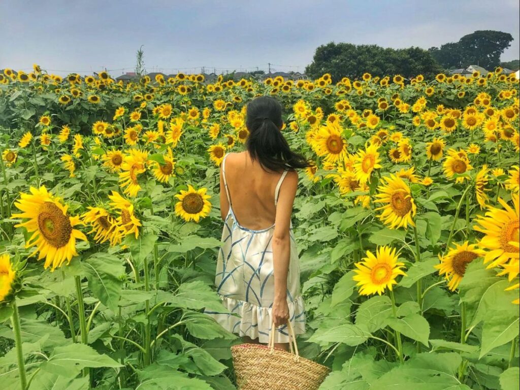 Author Lia at surrounded by sunflowers at Kiyose Sunflower Festival