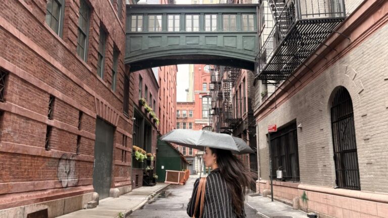 Author Niamh under the Staple Street Skybridge while holding an umbrella