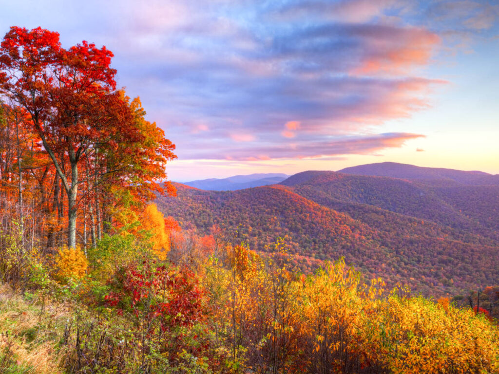 Scenic view of the fall foliage around the Shenandoah National Park