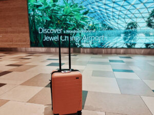 Away Bigger Carry-On Luggage