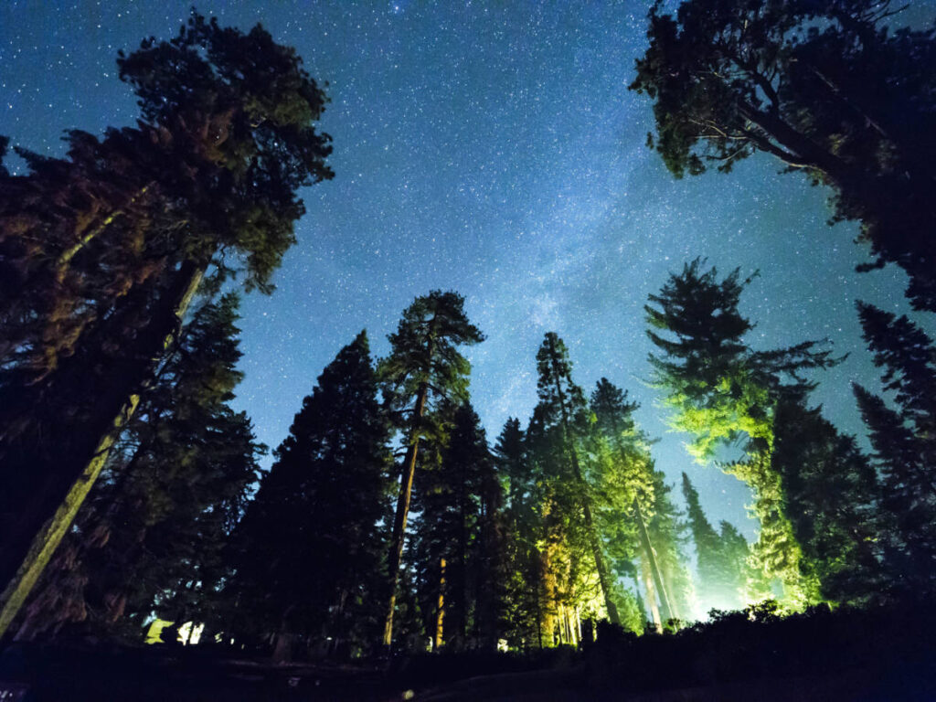 View of the night sky over Azalea Campground