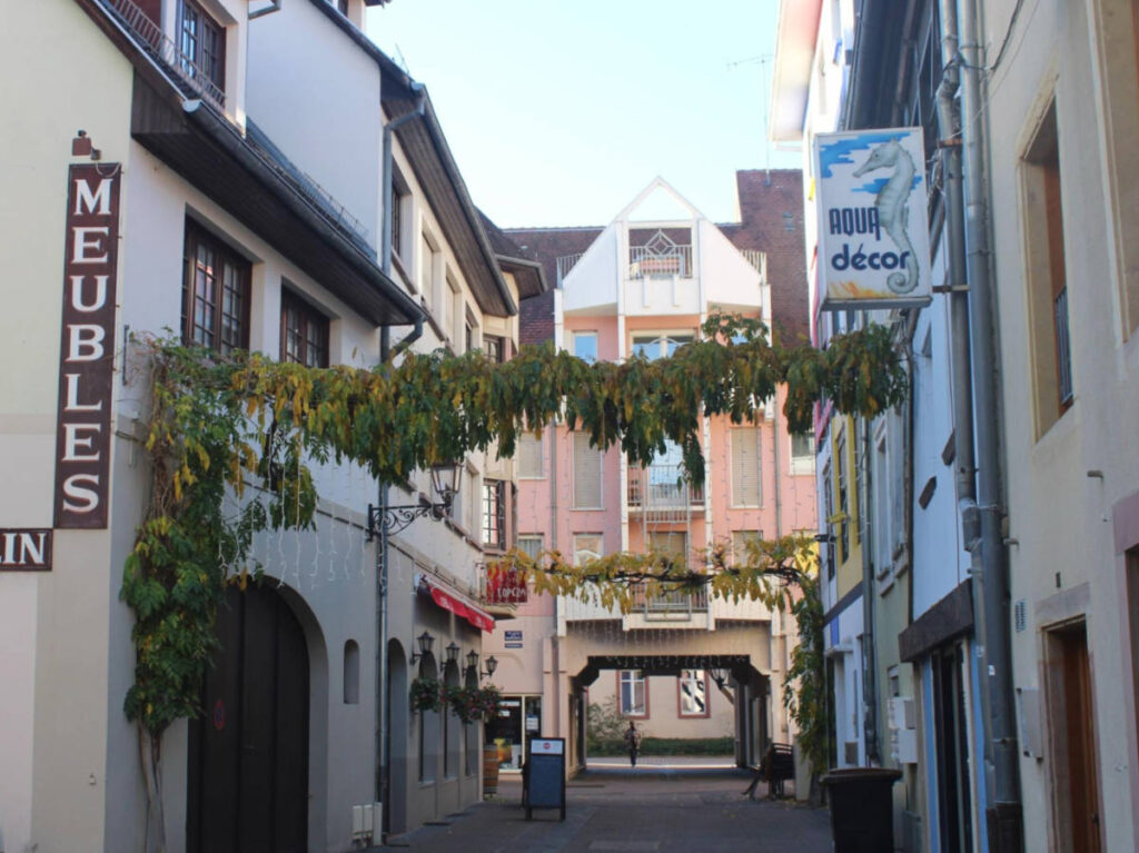 The vines in the middle of the quiet back street in Mulhouse