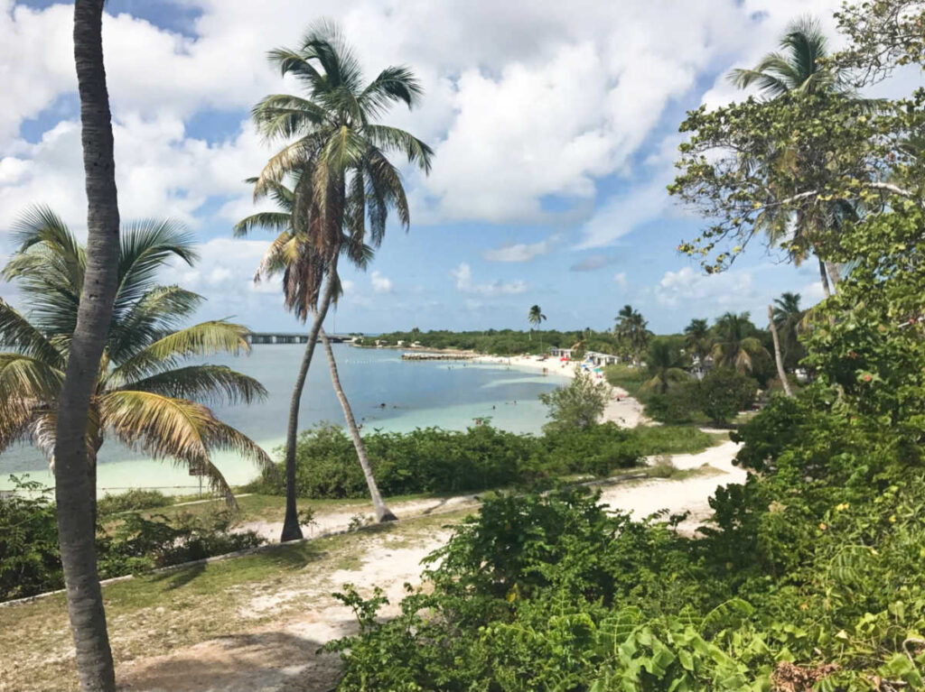 Overlooking view of the Bahia Honda State Park surrounded by greenery