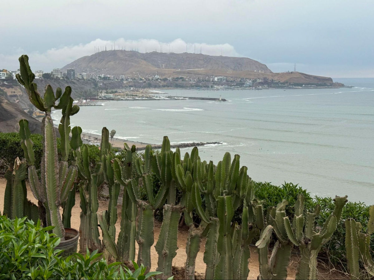 View of the cactus and the beach along Barranco’s seaside boardwalk