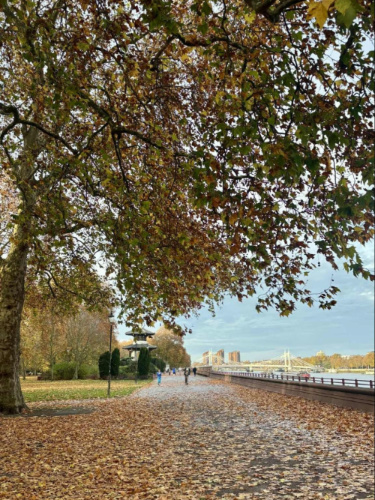 The fall foliage in  Battersea Park