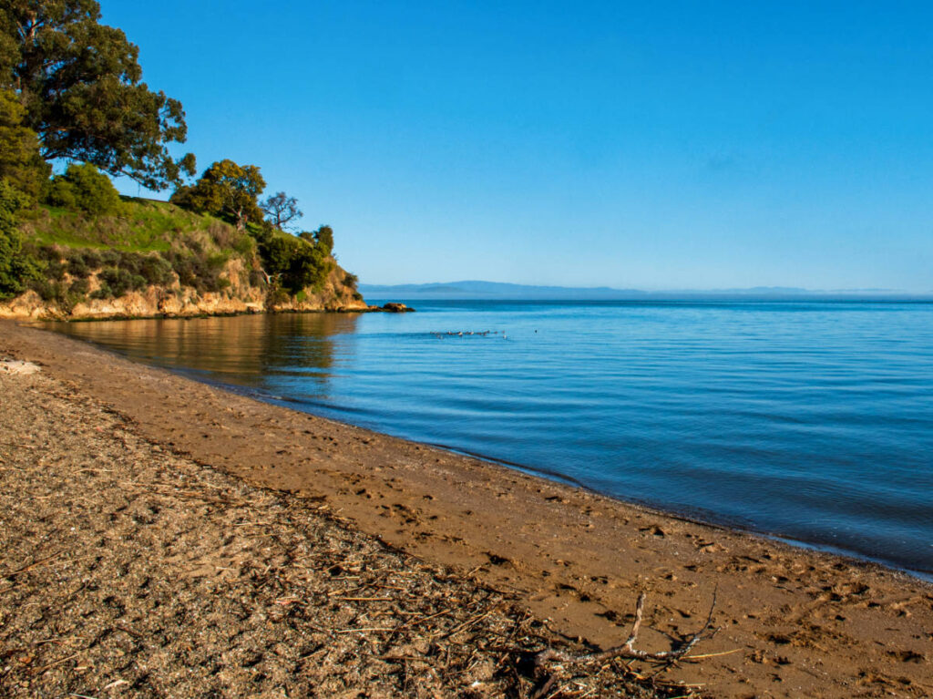 View of the calm water from the shoreline at China Camp State Park