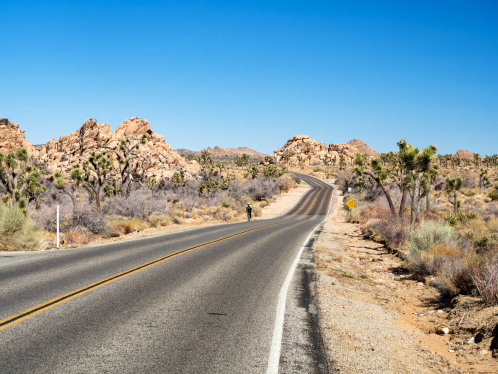 A biker along the long road in Joshua Tree