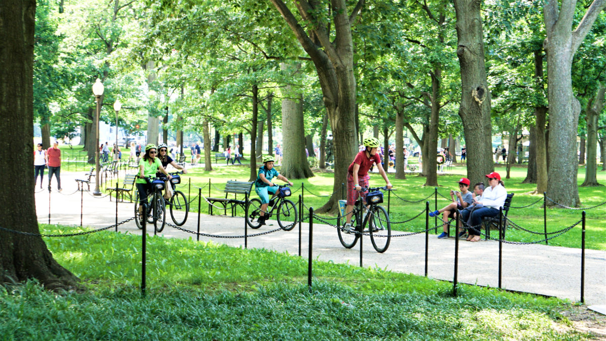 View of the people chilling and the bikers in the park of National Mall in DC