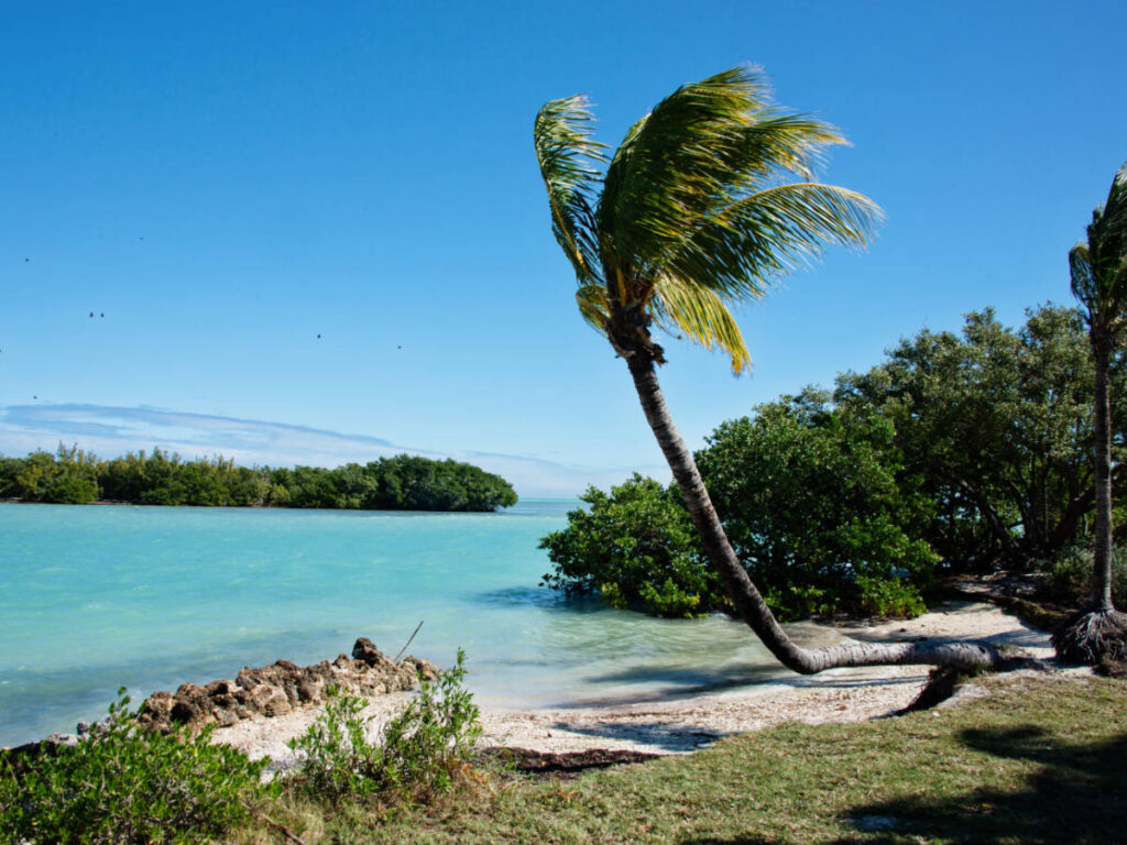 Clear blue sky over the Biscayne National Park during a sunny morning