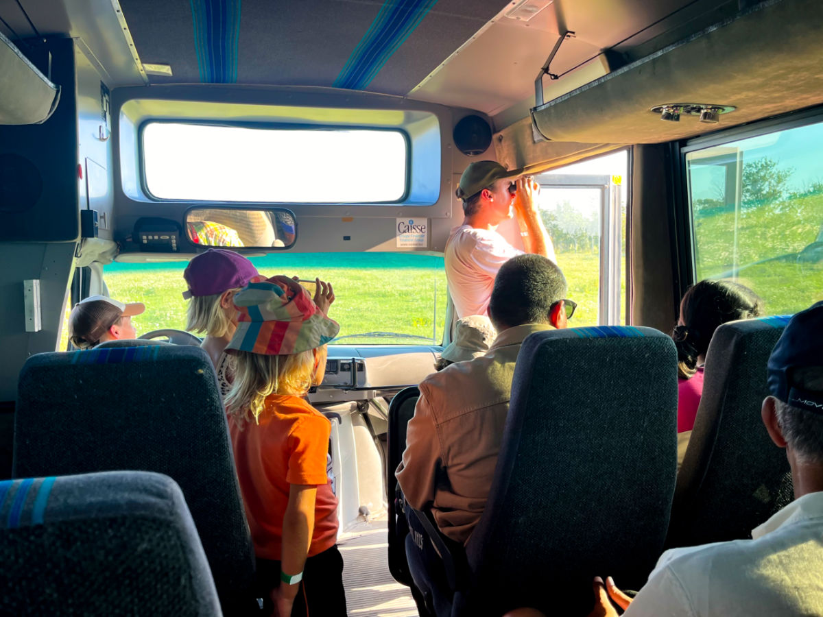 Bison Safari crew and tourists looking out of the bus window to catch a glimpse of the Bisons