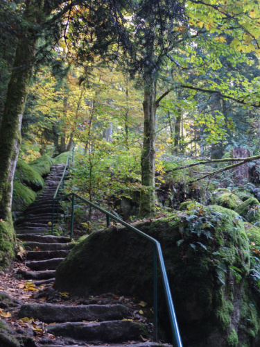 The stairs in the middle of the hiking route in the Black Forest
