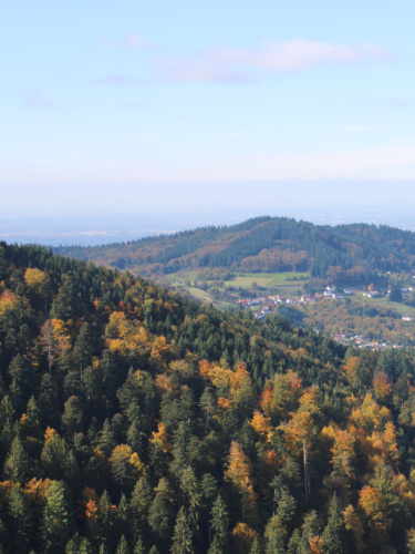 Overlooking view of the changing leaves in Black Forest