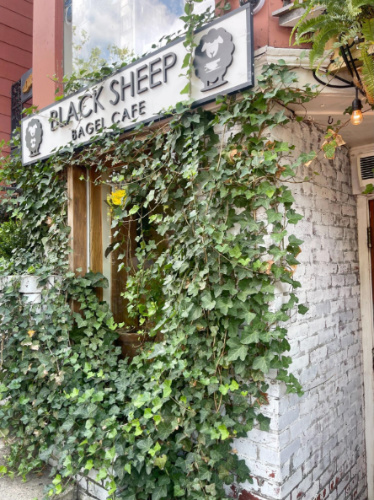 The Black Sheep Bagel Cafe from the outside