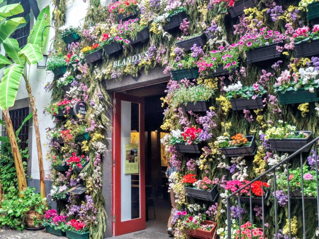 View of the blooming flowers at the entrance door of Blandy’s Wine Lodge