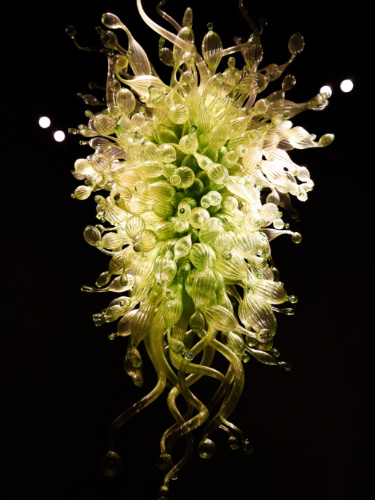 A blown grass artwork by Chihuly in Cincinnati Art Museum