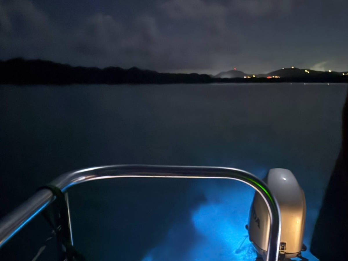 Glowing water at the Mosquito Bio Bay
