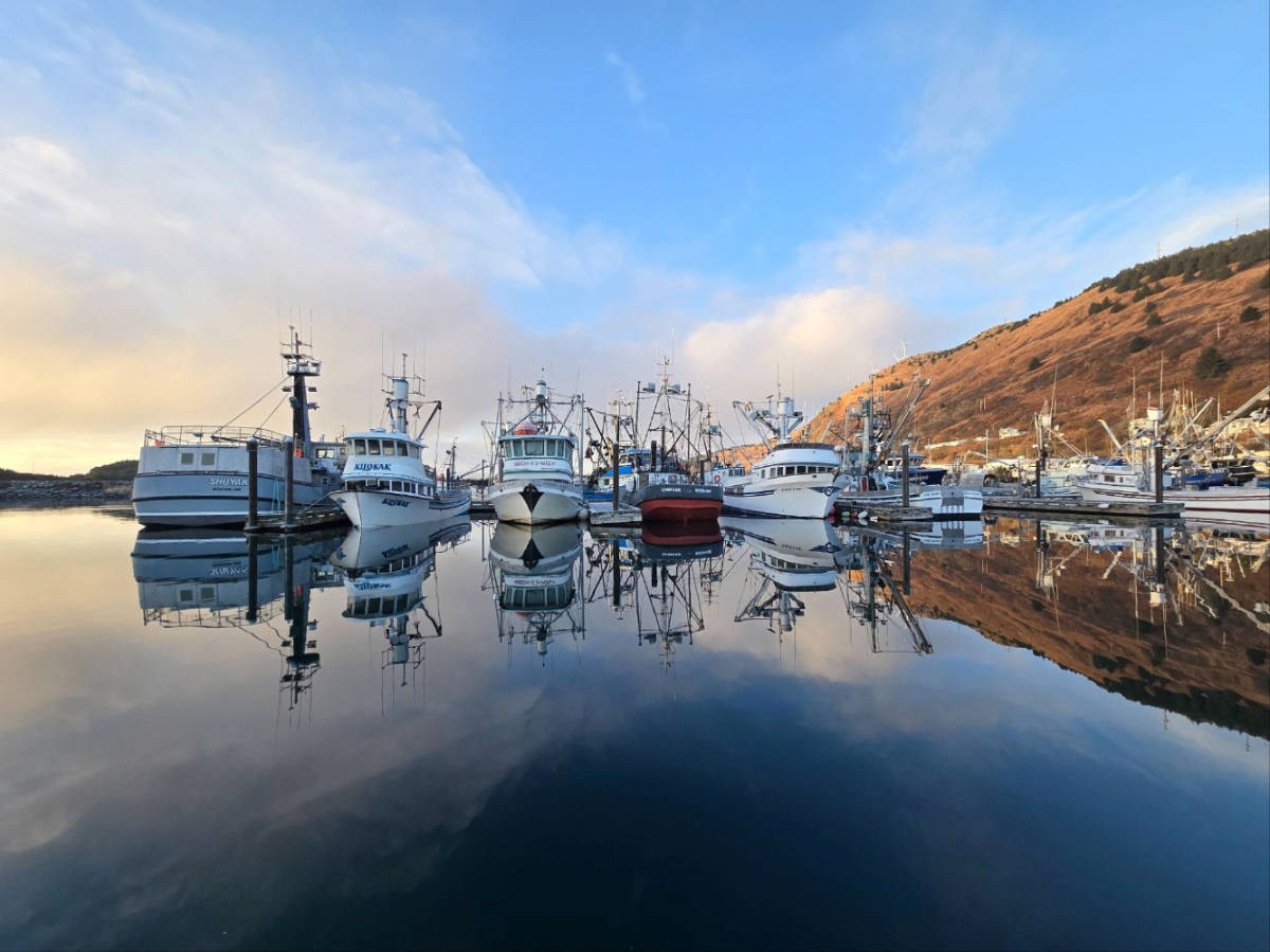 View of boats docked at St. Paul Harbor
