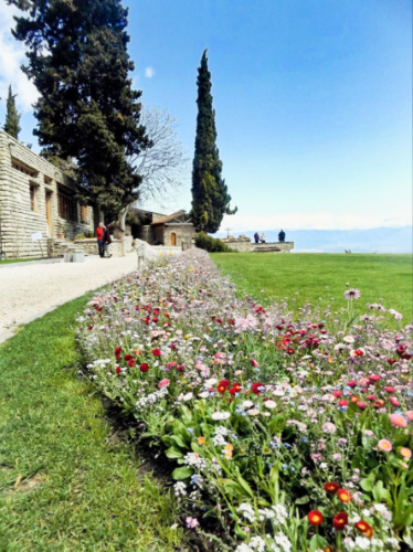 View of the blooming flowers at the garden of Bodbe Monastery 