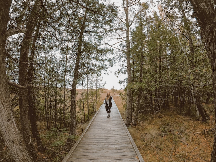 The author, Taylor Herperger on a boardwalk in Brokenhead Wetlands Interpretive Trail