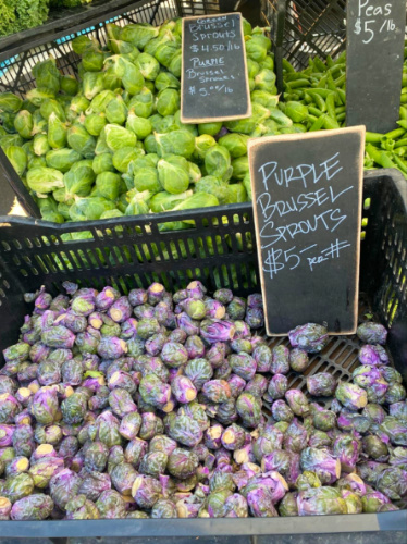 Purple and green Brussels sprouts at Ojai Certified Farmers Market