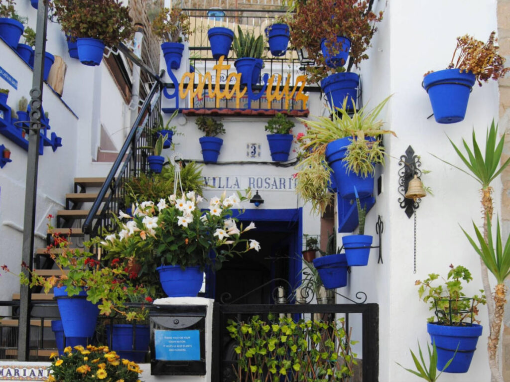View of the blooming flowers on the blue flower pots and against the buildings of Barrio Santa Cruz