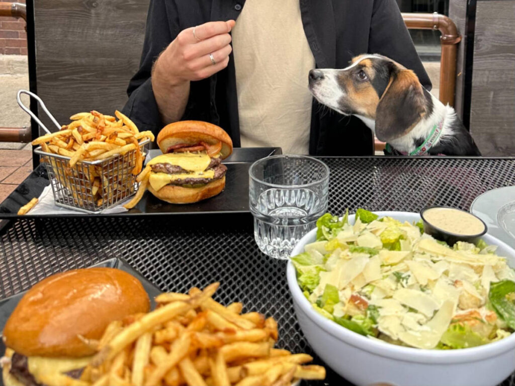 The burger and fries with a bowl of salad and the dog in the background in Little Bad Wolf