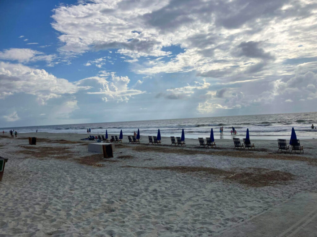 Umbrellas and chairs dot the sandy shore at Burkes Beach