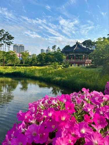 View of the pagoda overlooking the pond at Busan Citizens Park